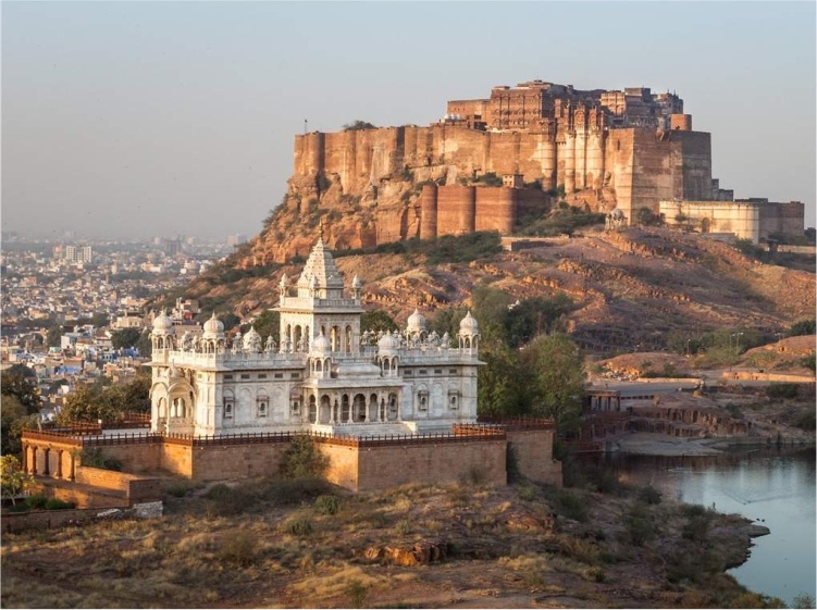 12. Vive india 02