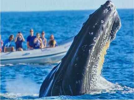 BAHÍA SOLANO_03_03