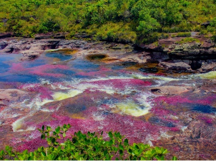 CAÑO CRISTALES_03
