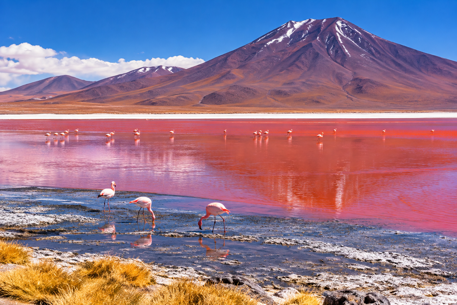 Lagunacoloradabolivia